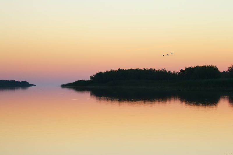 утро,река,Дунай,природа Дунайское утроphoto preview