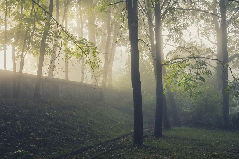 Ленивое осеннее утроphoto preview