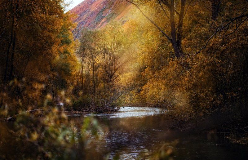 Бегущая по осениphoto preview