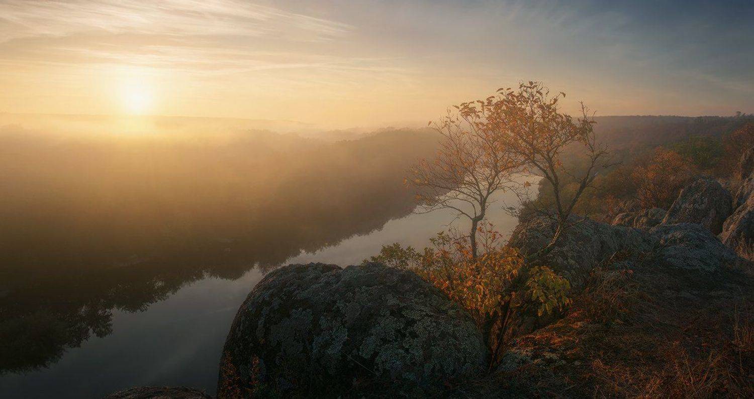 ***. Автор: Денис Кривой , Денис Кривой