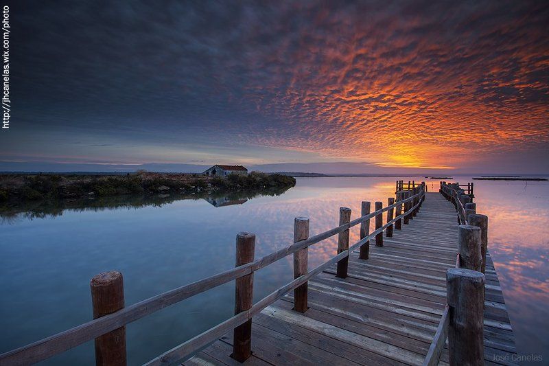 Portugal   Portugal - Mourisca - Setúbalphoto preview