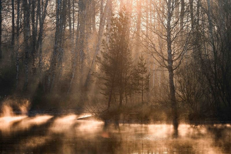 Оранжевое настроение…. Orange mood…photo preview