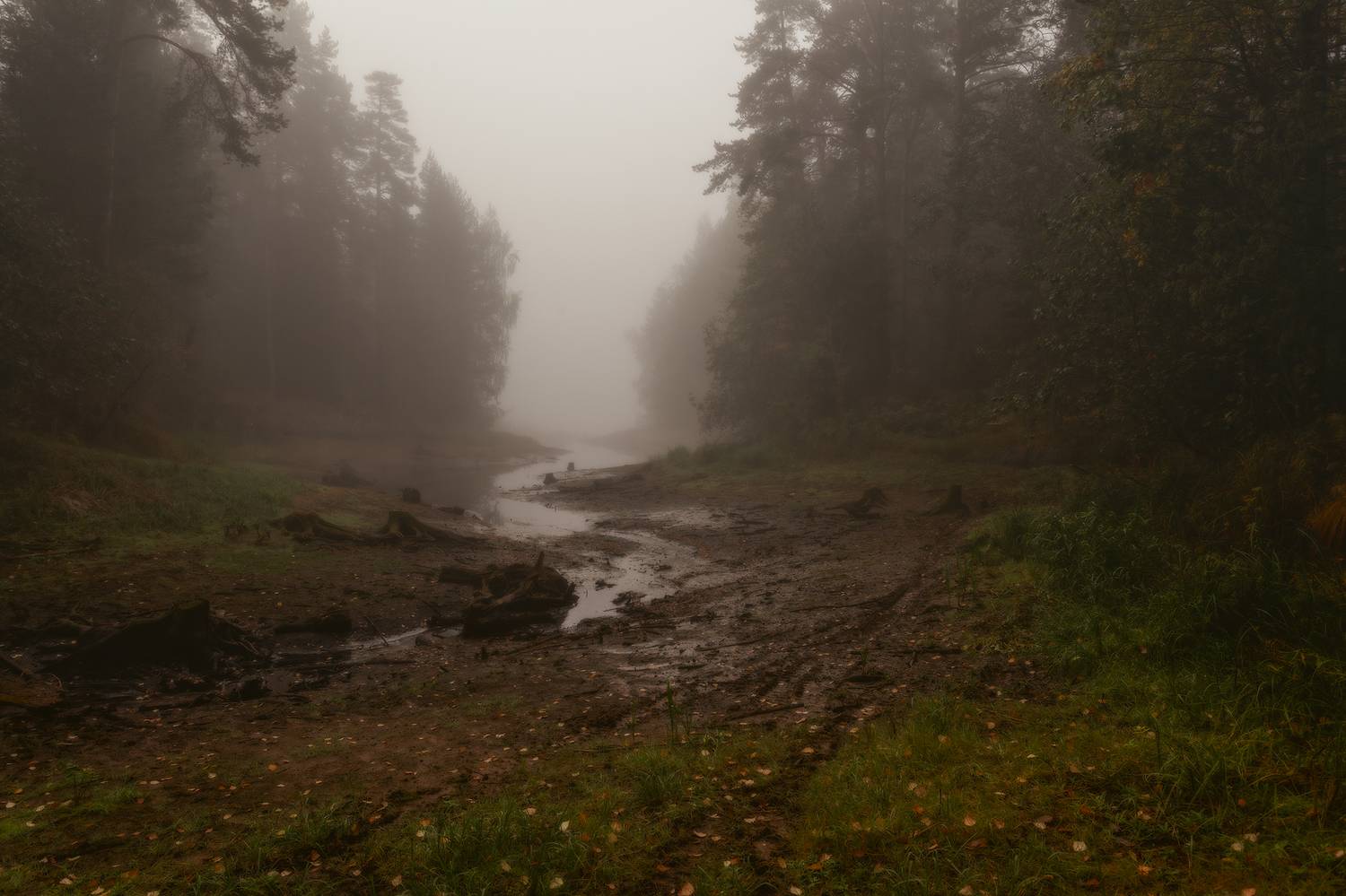 Туманный ручей. Автор: Васенков Геннадий , Васенков Геннадий