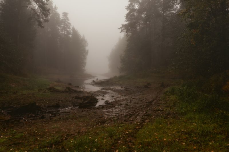 Туманный ручей фото превью