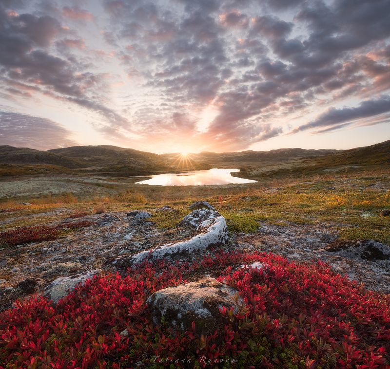 Рассвет в тундреphoto preview