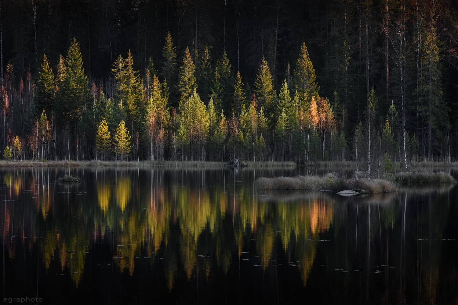 ленинградская область, выборгский район, карельский перешеек, россия, Рябенький Александр