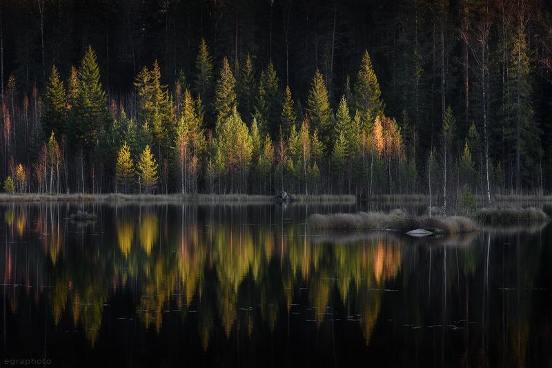 ленинградская область, выборгский район, карельский перешеек, россия Прощальный взгляд на осеньphoto preview