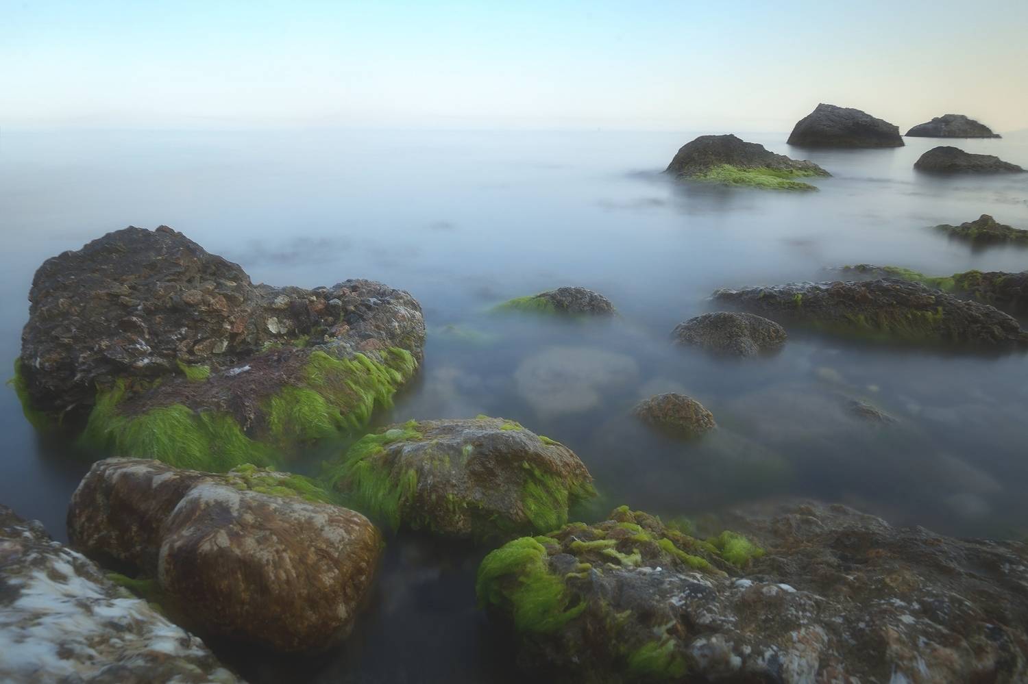 , Алексей Никонов