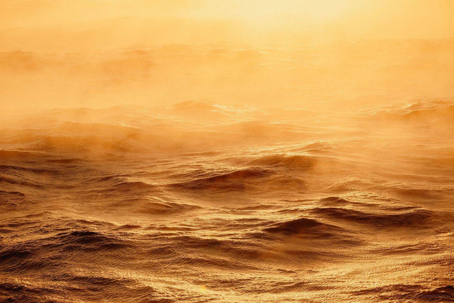 Туман на воде. Автор: Сергей Котов , Сергей Котов