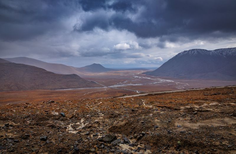 * * * фото превью