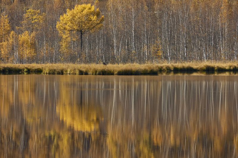 Осеньphoto preview