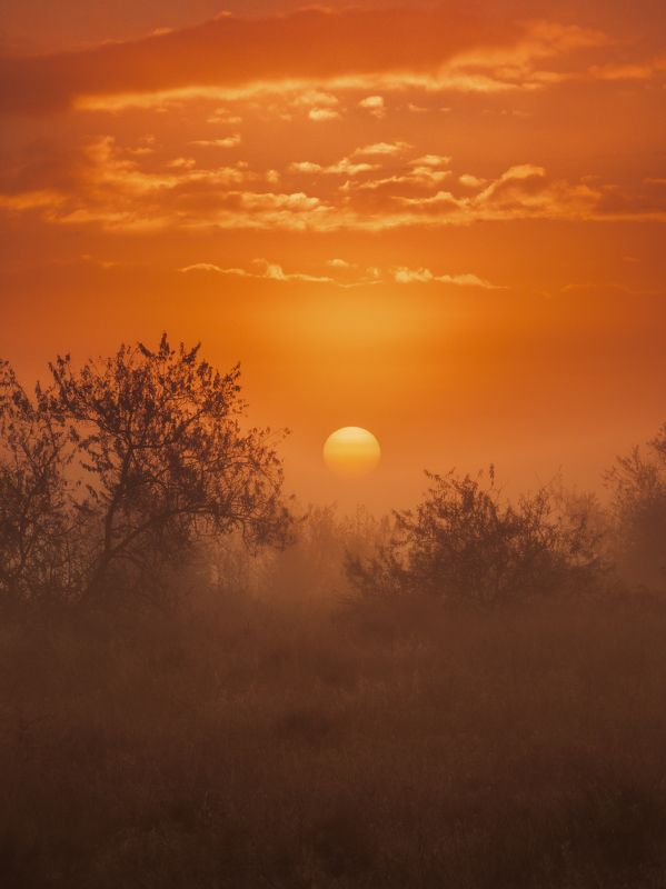 Туманный рассвет в Крымуphoto preview