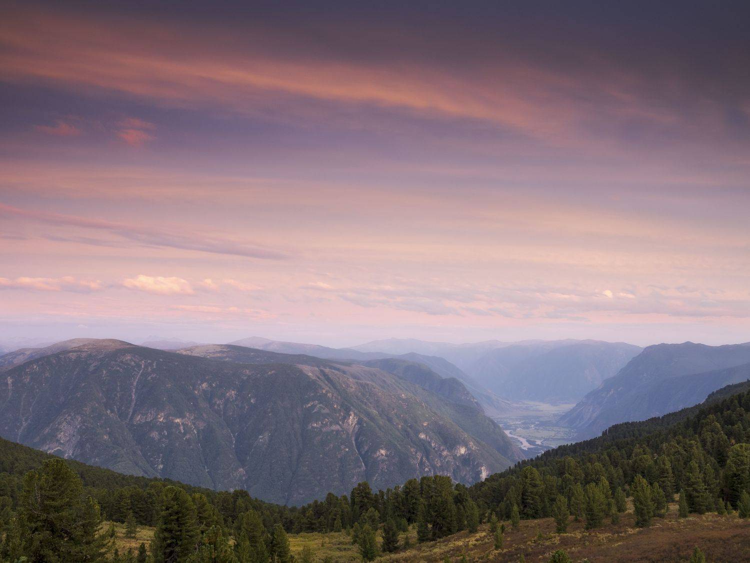 , роман фарберов