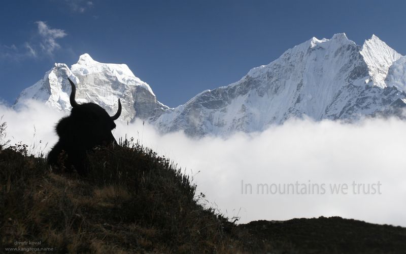 гималаи м крым вне треков, пейзаж как магия Откуда есть-берутся яки…photo preview