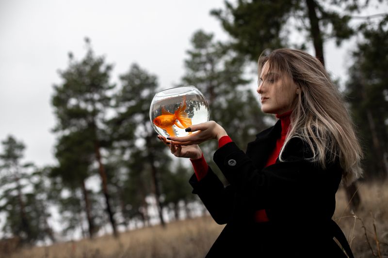 Загадай желаниеphoto preview