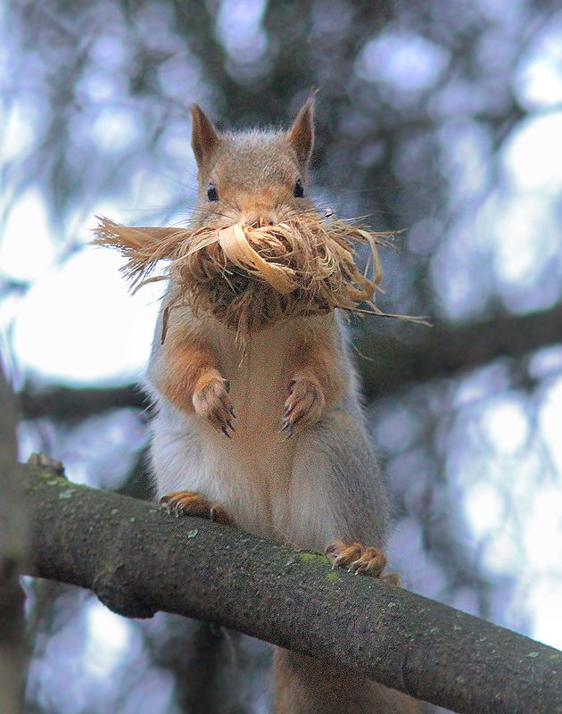 Утепляемсяphoto preview