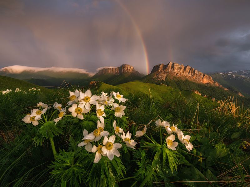 западный кавказ, природный парк большой тхач, ачешбок, радуга, вечер Рождение радугиphoto preview