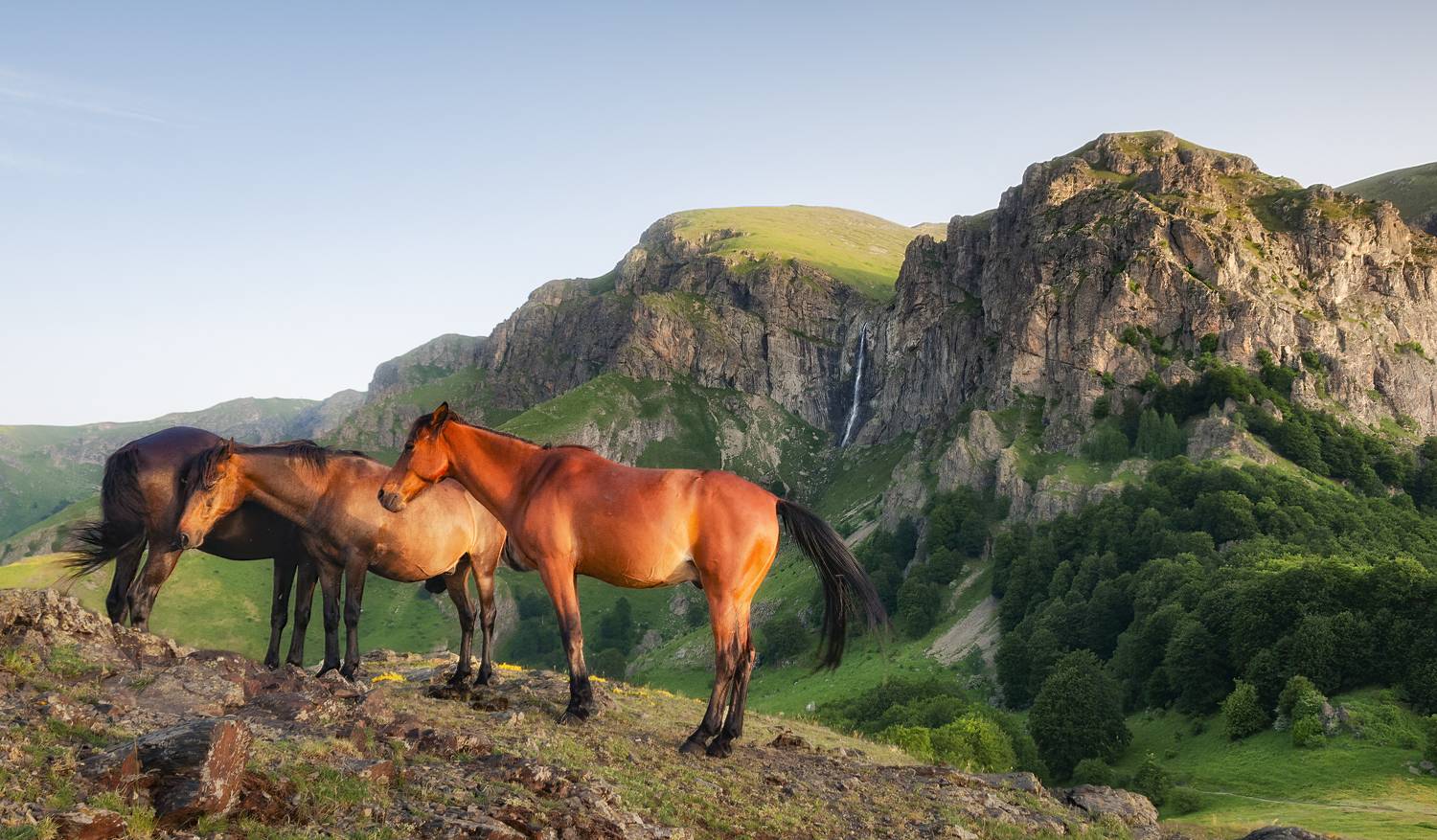 Водопад «Небесные брызги» /. Автор: Эрнест Вахеди болгария, водопад, утро, вечер, закат, восход, лес, природа, кони, лошадь, природный парк, балканы, bulgaria, waterfall, sunset, sunrise, forest, morning, evening, wood, horse, national park, Эрнест Вахеди