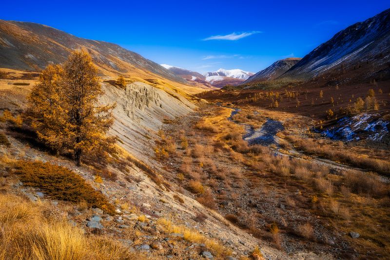 Верховья Джазатора фото превью