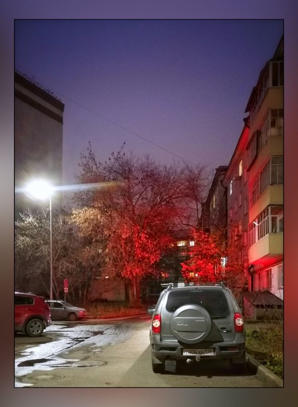 Ноябрьские краскиphoto preview