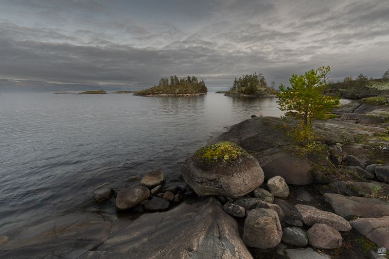 Ладогаphoto preview