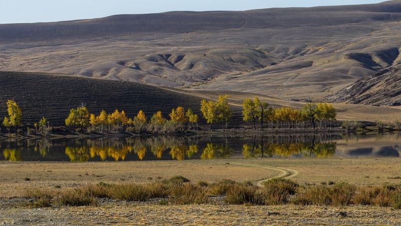 озеро, осень, оазис  фото превью