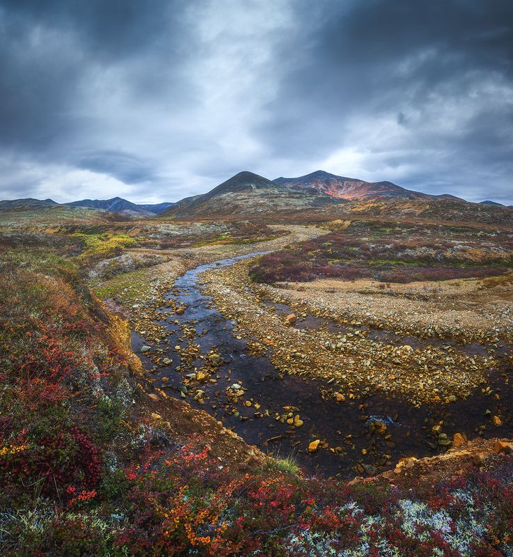 Чукотка 2023photo preview