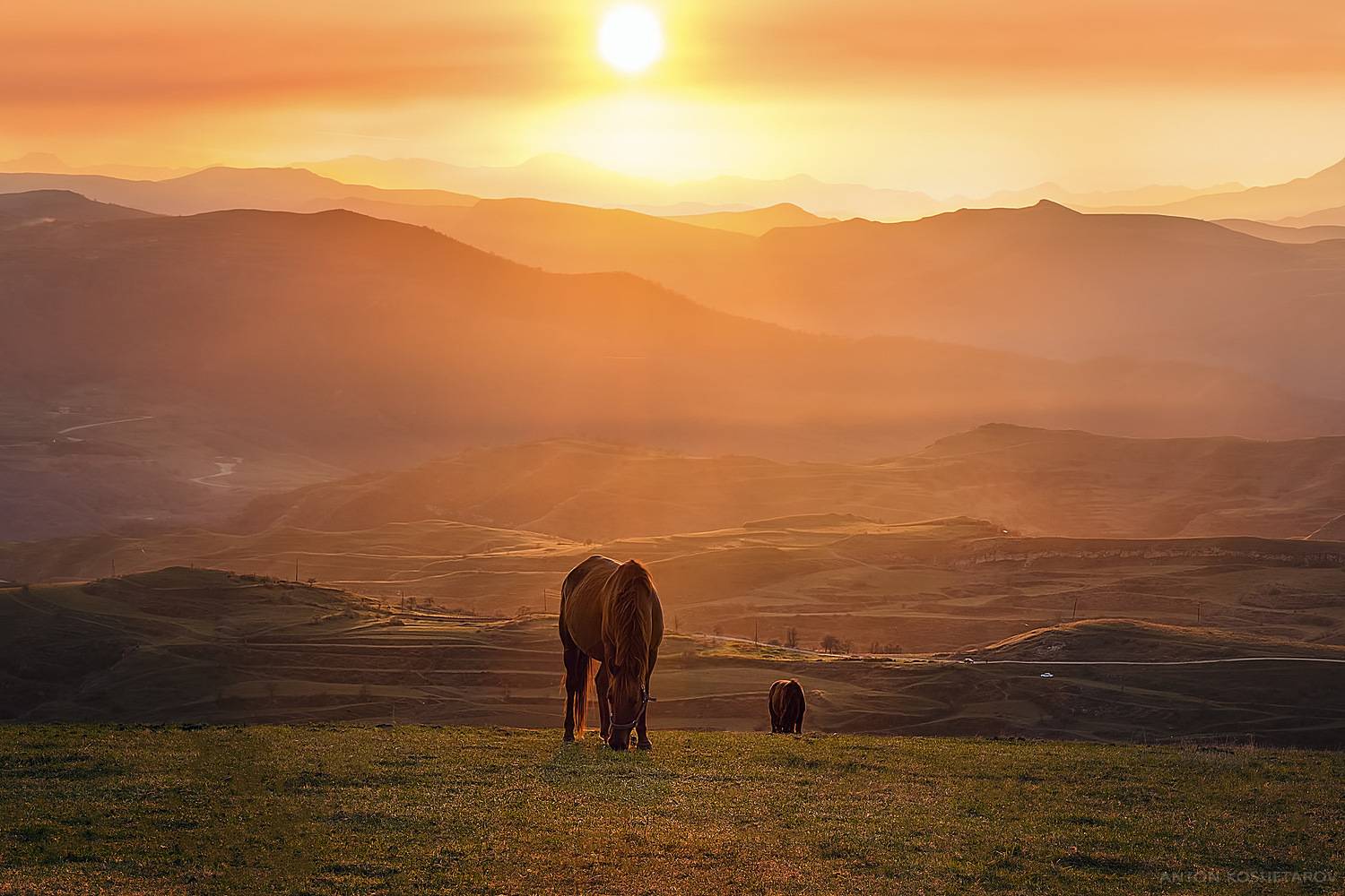 , Антон Кошетаров