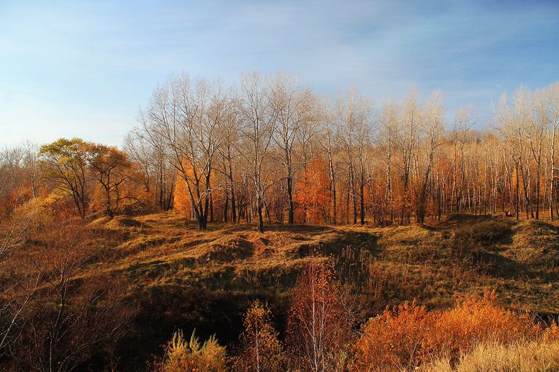 осень, сибирь, россия .photo preview