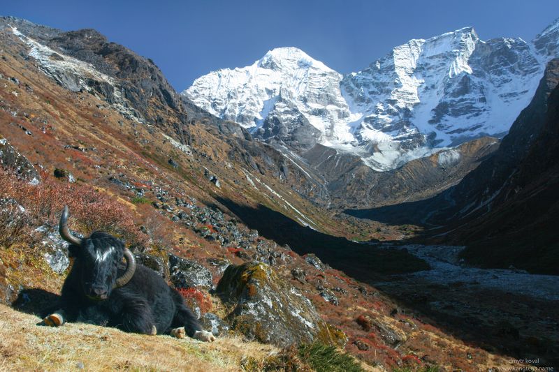 гималаи и крым вне треков, пейзаж как магия Здесь водятся Разнороги…photo preview