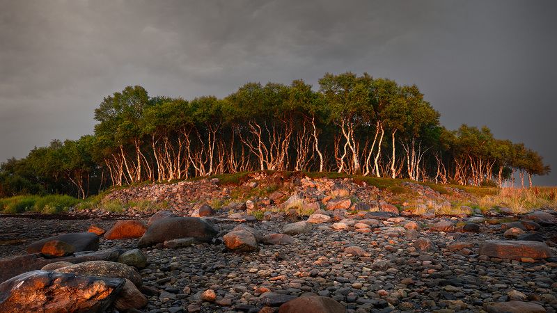 Из серии Соловкиphoto preview