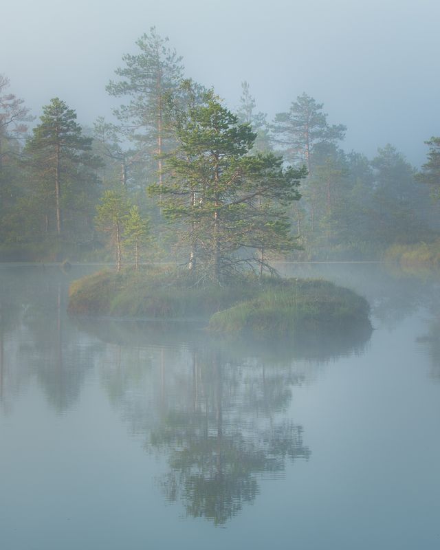 #foggy, #foggymorning, #earlymorning, #morningmotivation, #foggysunrise, #visitestonia, #bogs, #eestirabad, #terviserajad, #ilusadeestipaigad, #beautifuldestinations, #beautifulplaces, #placestogo, #moments, #destinationearth, #reflections, #reflection_sh ---photo preview