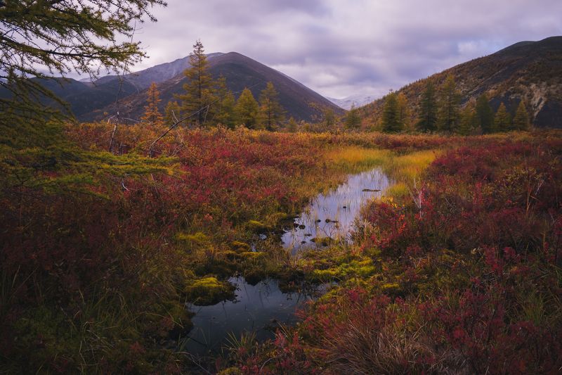 В тени осениphoto preview