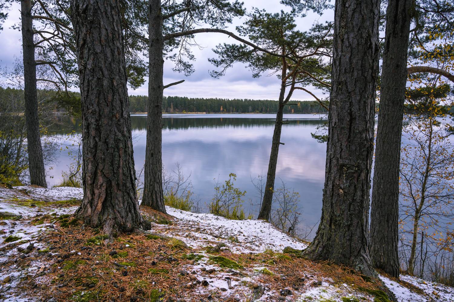На берегу Снетковского озера.. Автор: Бабурин Олег озеро снетковское, Бабурин Олег