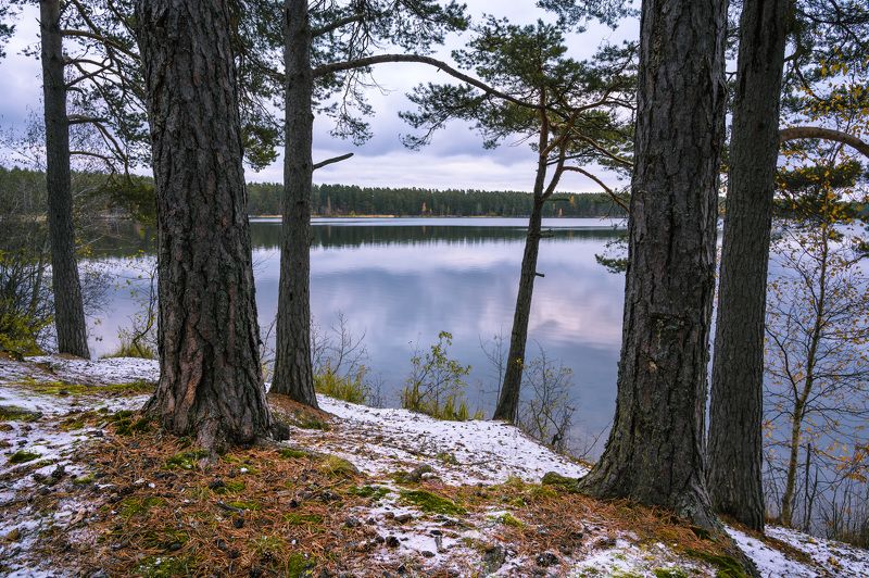 озеро снетковское На берегу Снетковского озера. фото превью