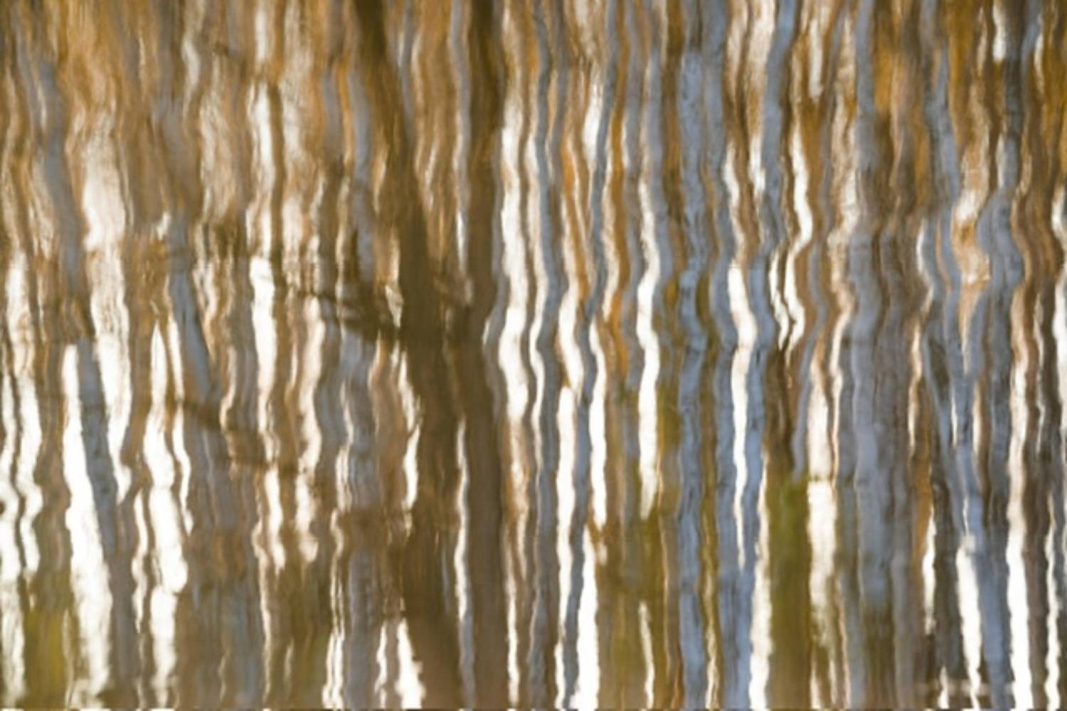 Осенние абстракции. В отражении воды… Autumn abstractions. In the reflection of water.... Автор: Евгений Важенин , Евгений Важенин