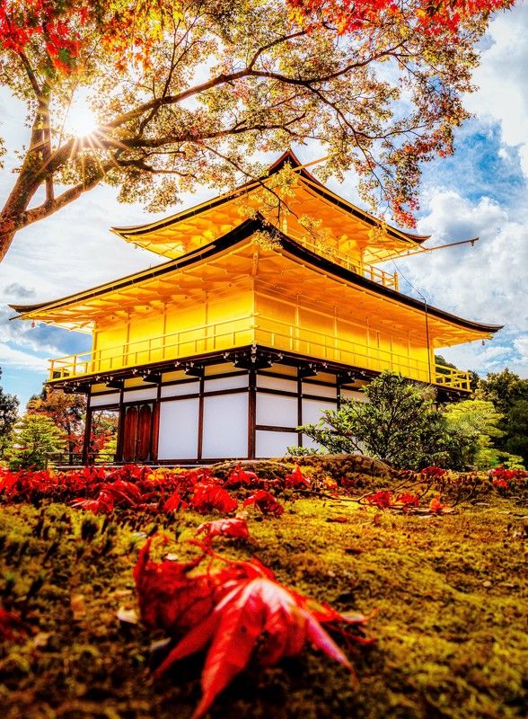 #kyoto, #japan, #autumn, #temple [ Autumn in Kyoto ]photo preview