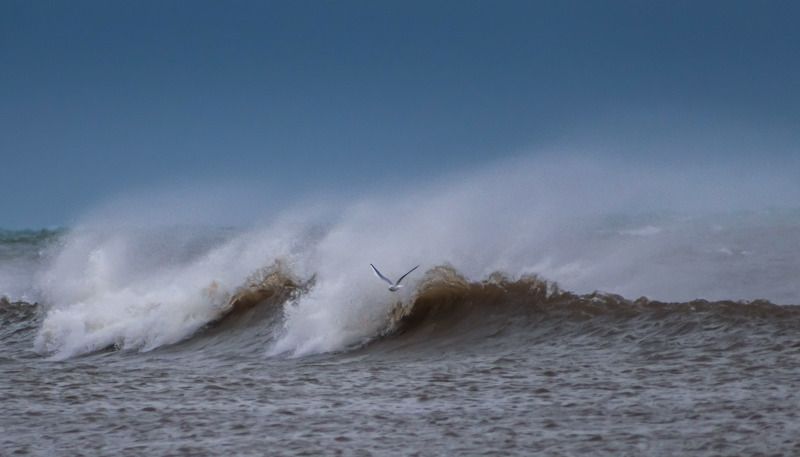 Волнаphoto preview