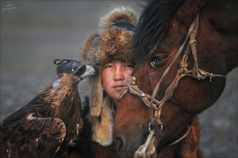 монголия, фототур в монголию, golden eagle festival, кочевники, golden eagle, беркут, беркутчи Я,ты,мы...photo preview