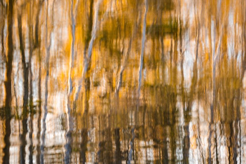 Осенние абстракции. В отражении воды…  Autumn abstractions. In the reflection of water...photo preview