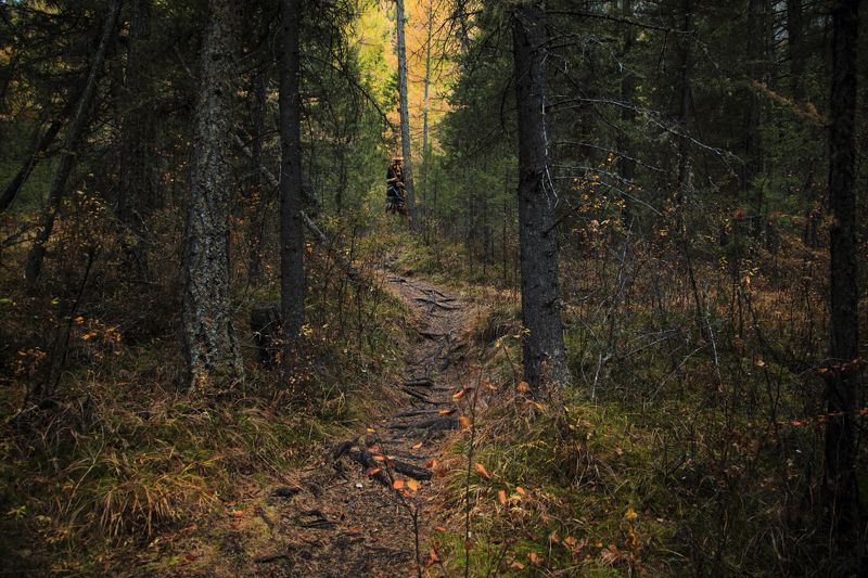 ... там на неведомых дорожкахphoto preview