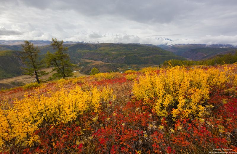 солнце, россия, рассвет, природа, подмосковье, погода, пейзажи, пейзаж, отражение, наукоград, красота, дубна, вода, весна, weather, water, spring, russia, reflection, naukograd, nature, moscow, landscape, dawn, canon, dubna, beauty Кош-Агачский район, Республика Алтай. фото превью