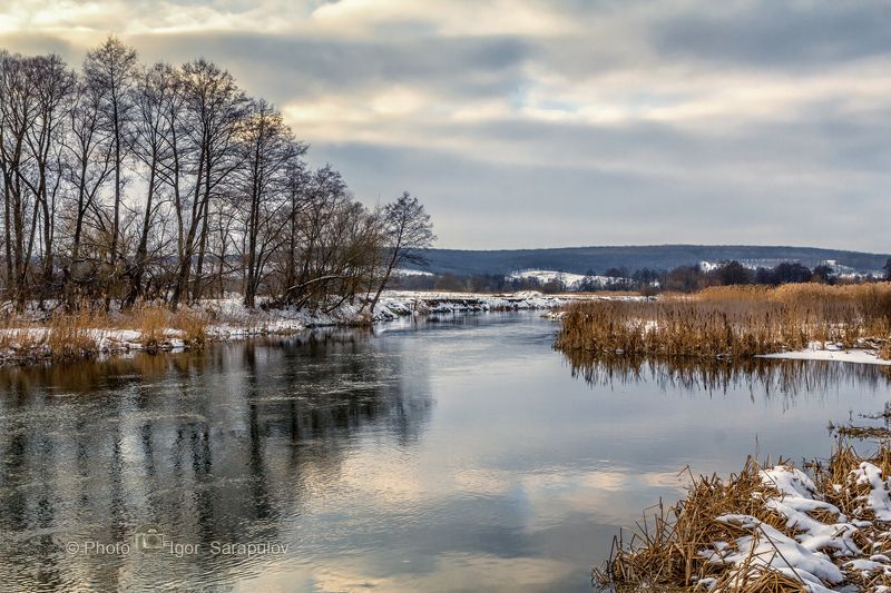 тростник, северский донец, река, небо, зимнее небо, зима, вечер, берег, белгородчина, белгородская область, Зима на Северском Донце фото превью