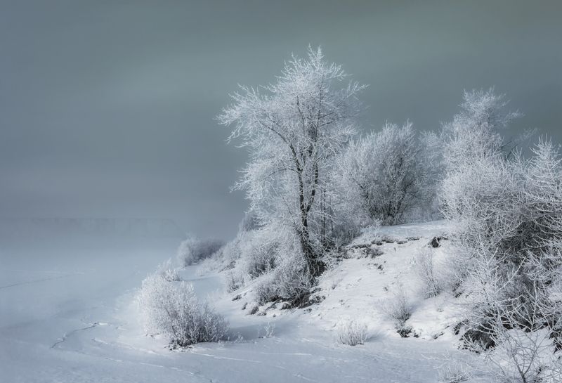 ноябрь, деревья, кусты, иней, туман, обрыв, река, мост, архангельск Встретило утро туманомphoto preview