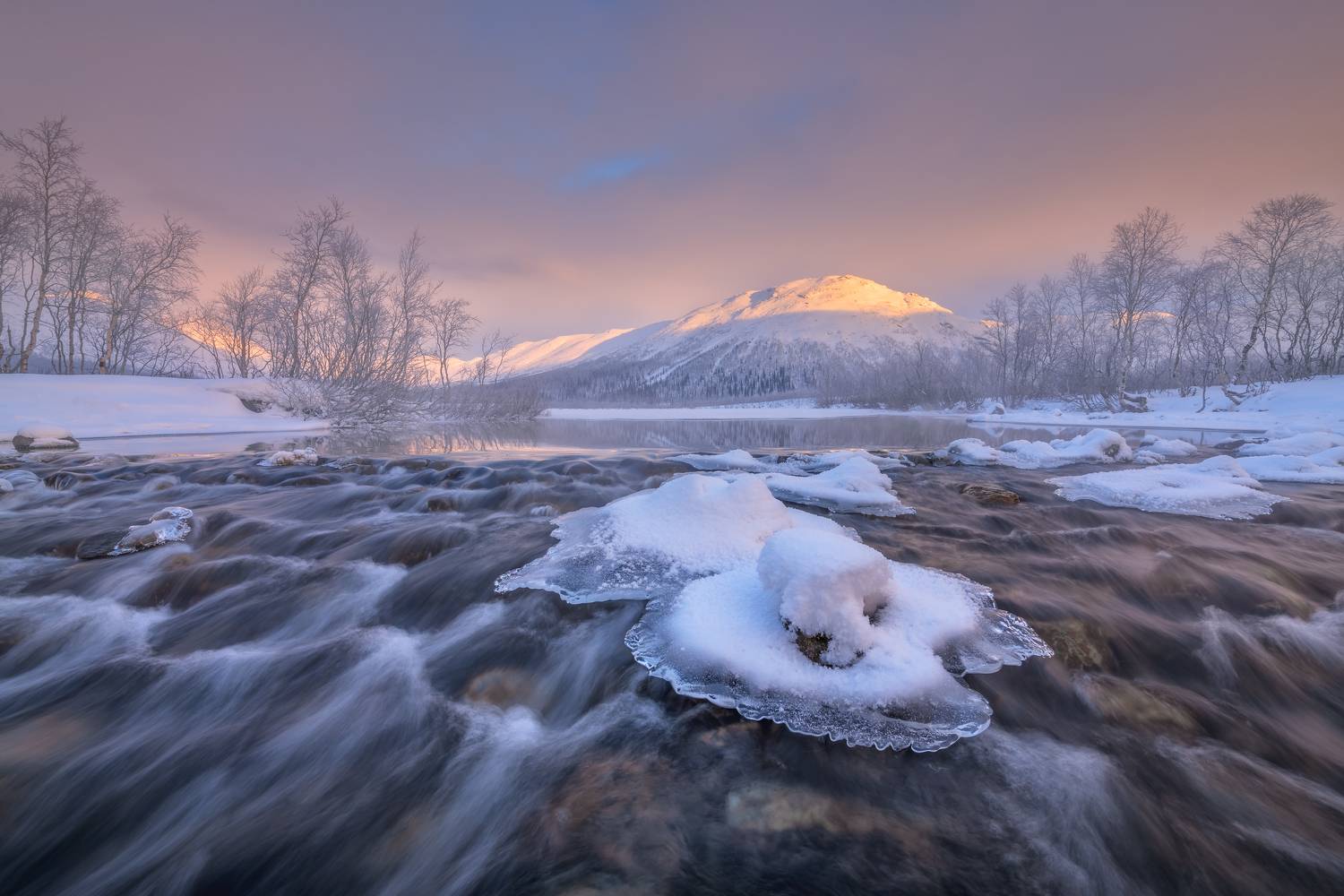 , Максим Евдокимов