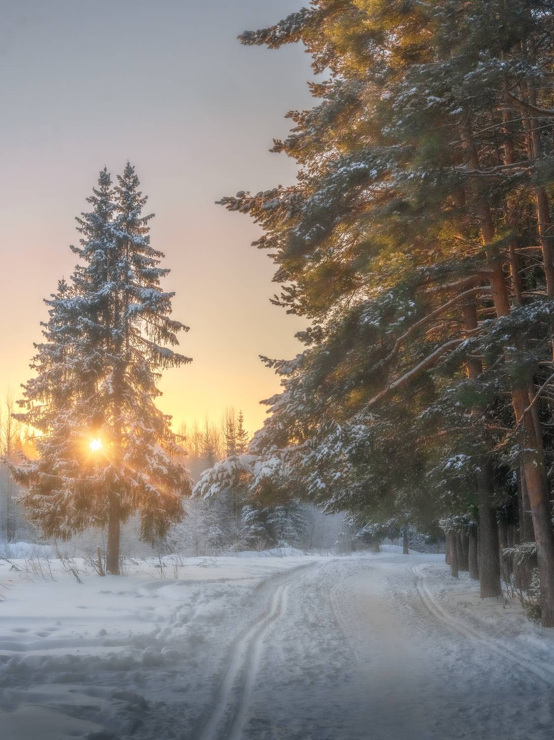 , Евгений Чикишев