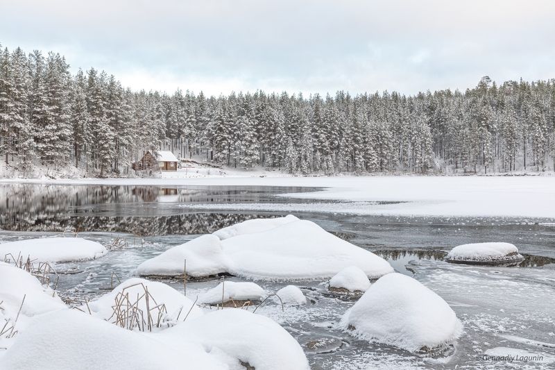 снег, snow, река, river, лес, forest, лёд, ice, кольский Безмятежностьphoto preview