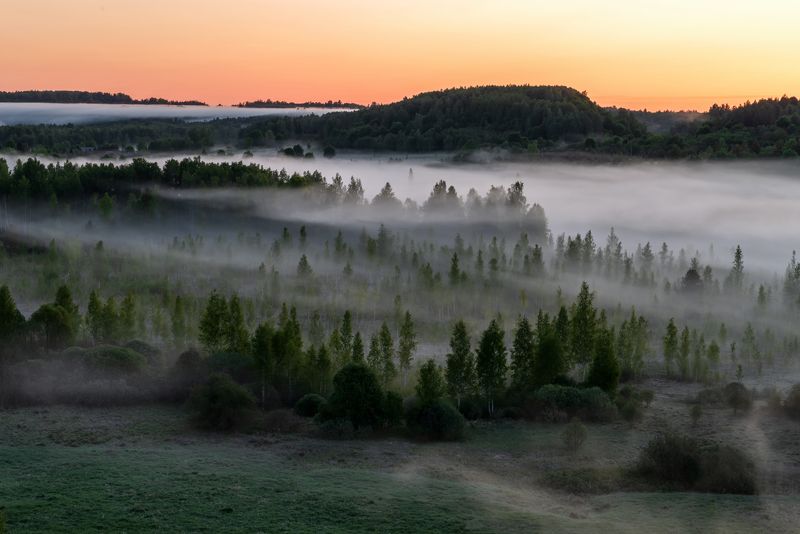 Туманное утроphoto preview