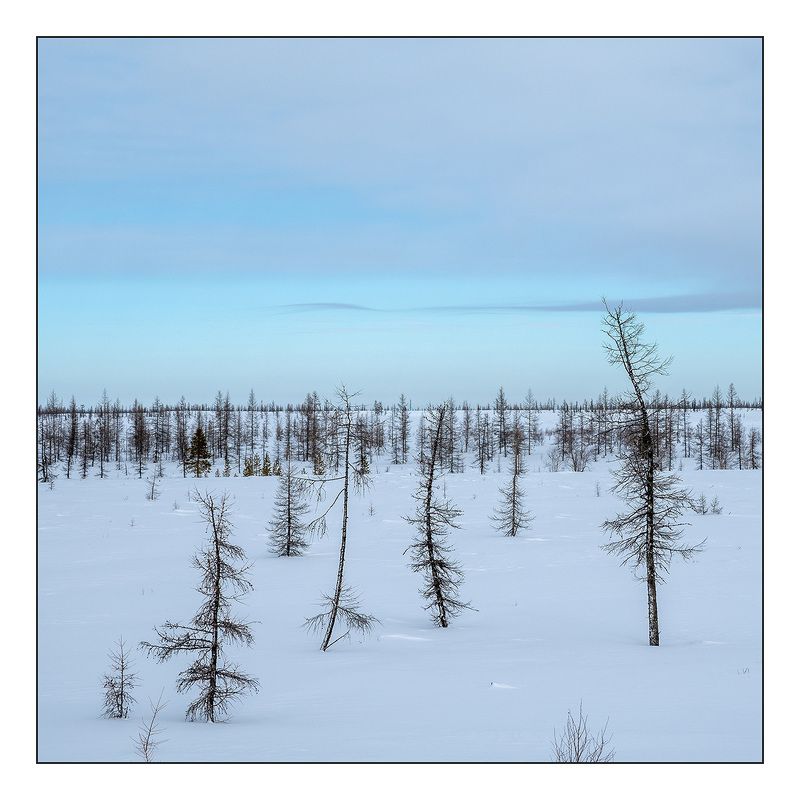 Краски ямальской тундры в мартеphoto preview