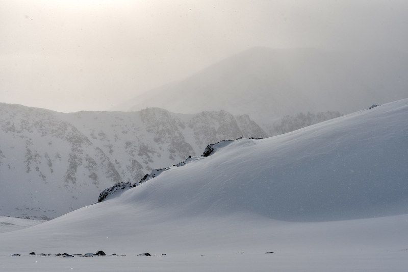 ямал, пейзаж, снег, сугробы, зима, природа, камни Белая мглаphoto preview